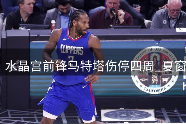 水晶宫前锋马特塔伤停四周 夏窗转会前景黯淡